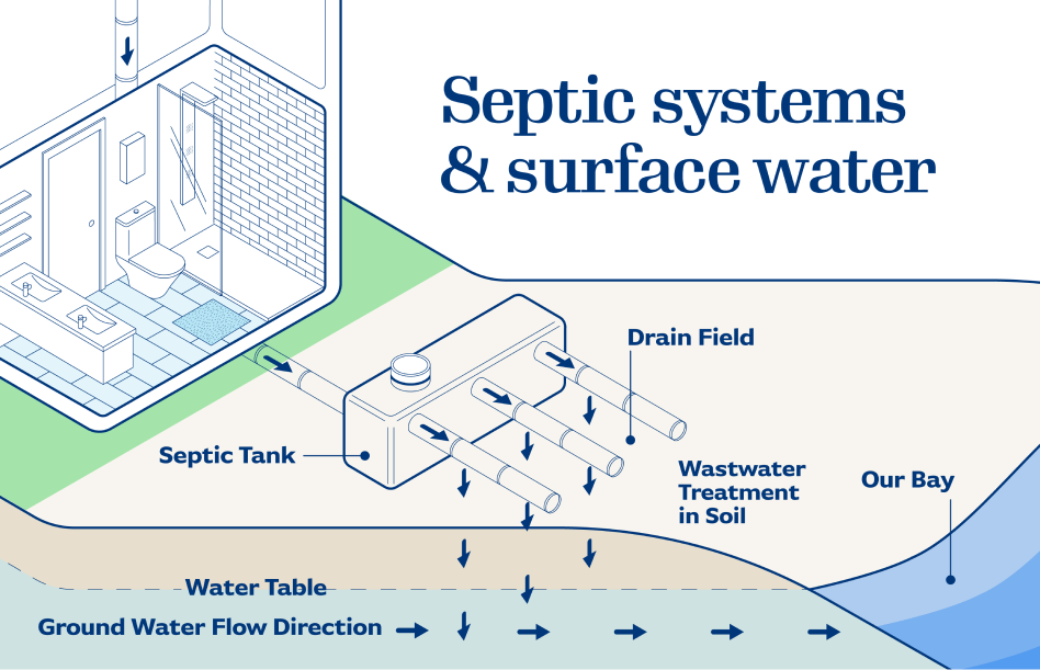 Wastewater flows from the septic tank through a drain field to treat the soil and then flow to the bay.