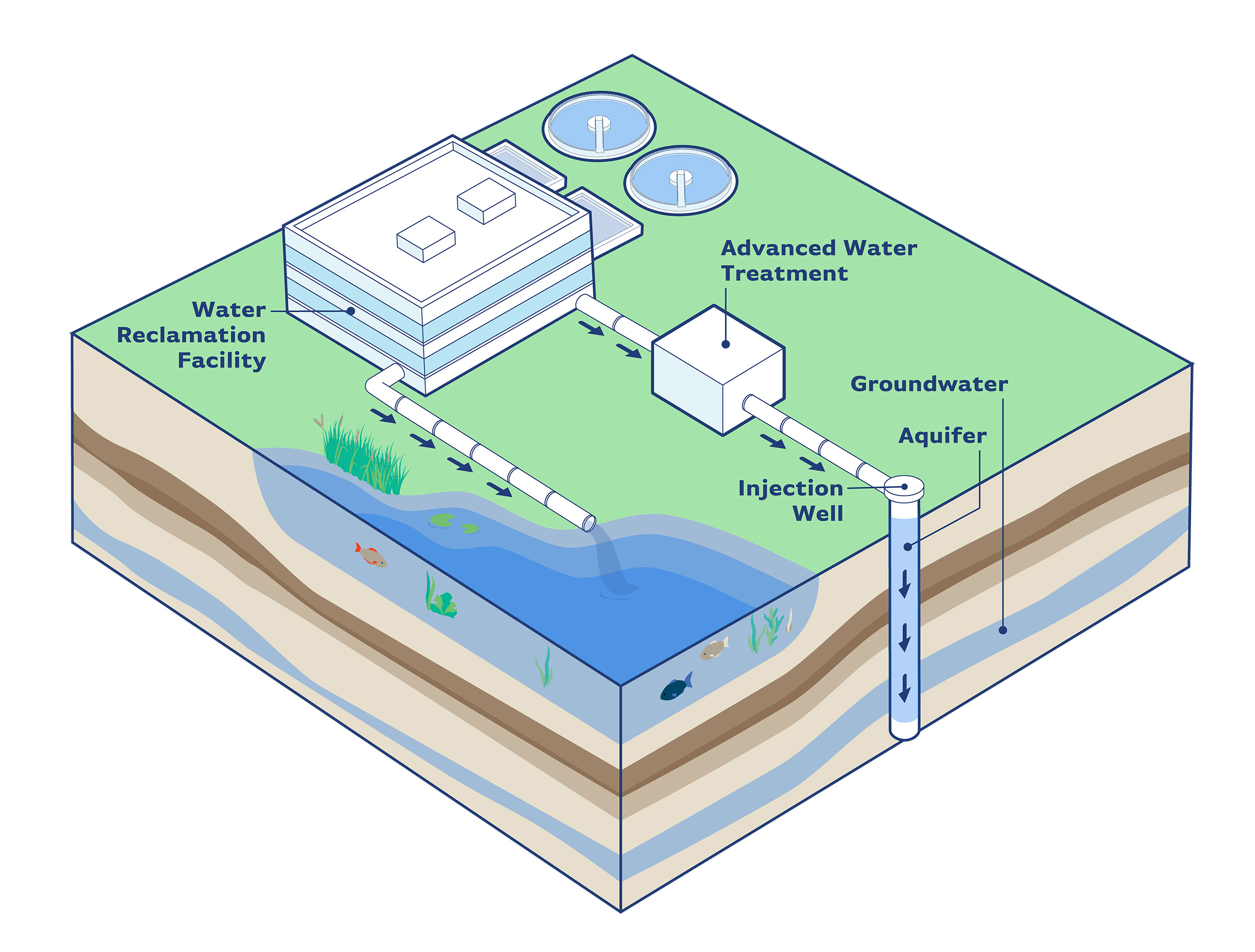 Managed Aquifer Recharge Diagram