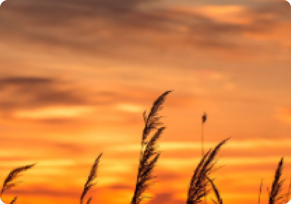 April 2020 blog post